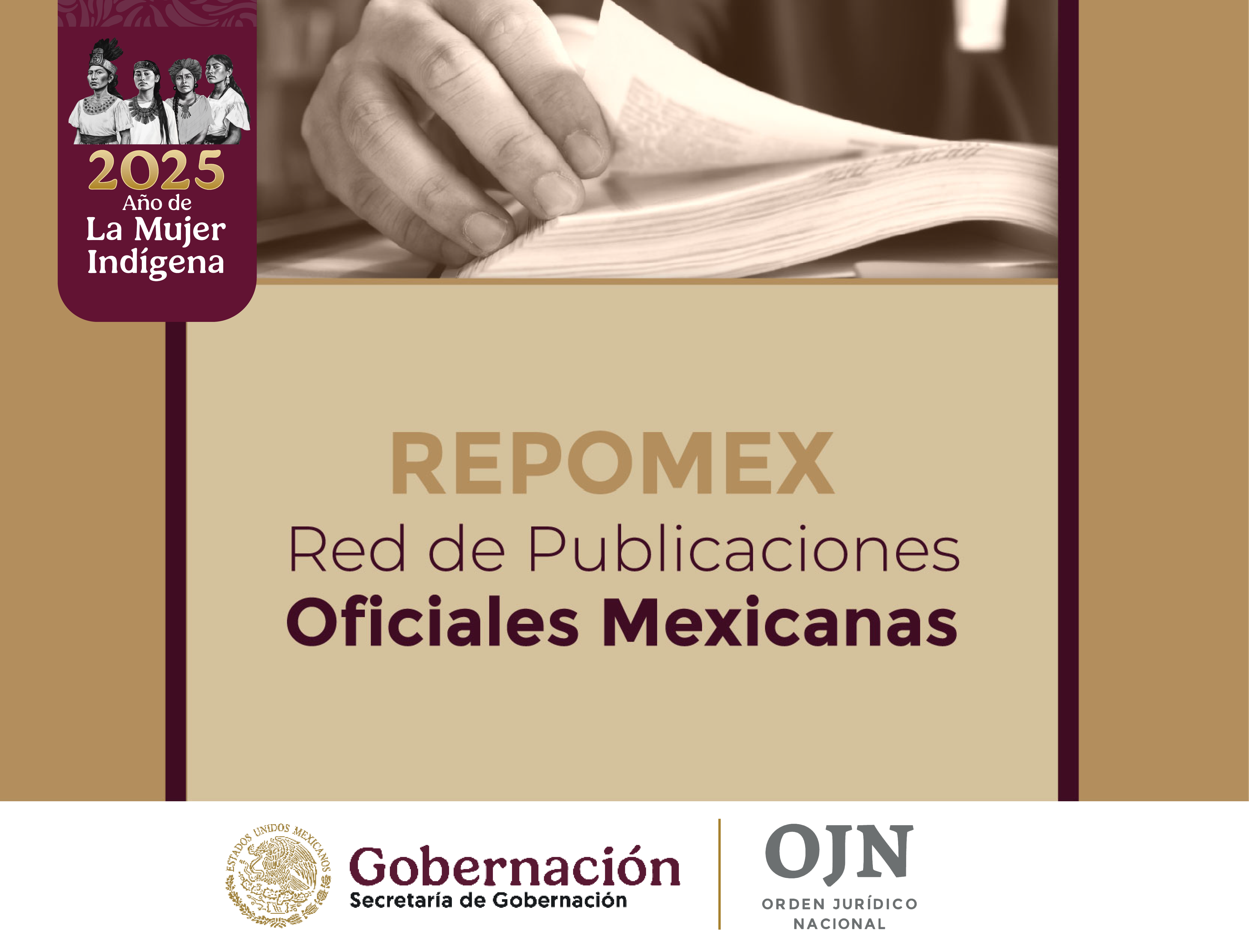 REPOMEX